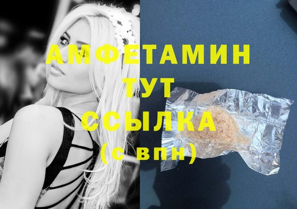 ПСИЛОЦИБИНОВЫЕ ГРИБЫ Верея