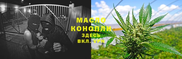 твердый Верхний Тагил
